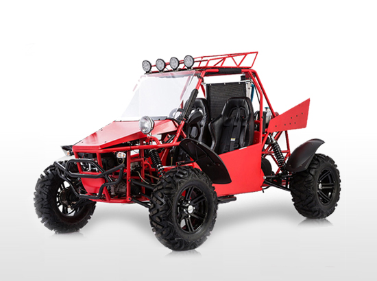 V-TWIN BUGGY 800-2S